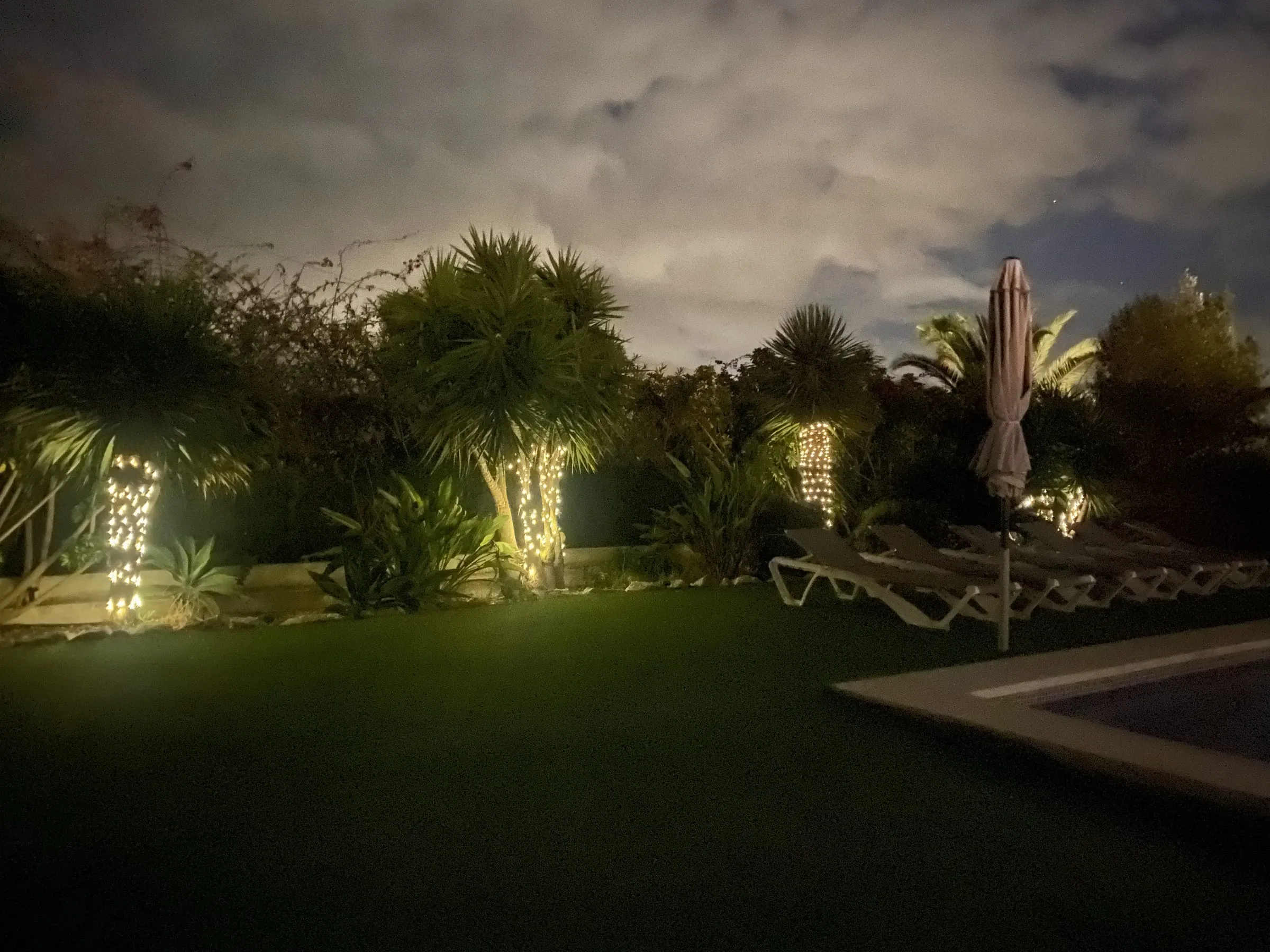 The garden lit up at night