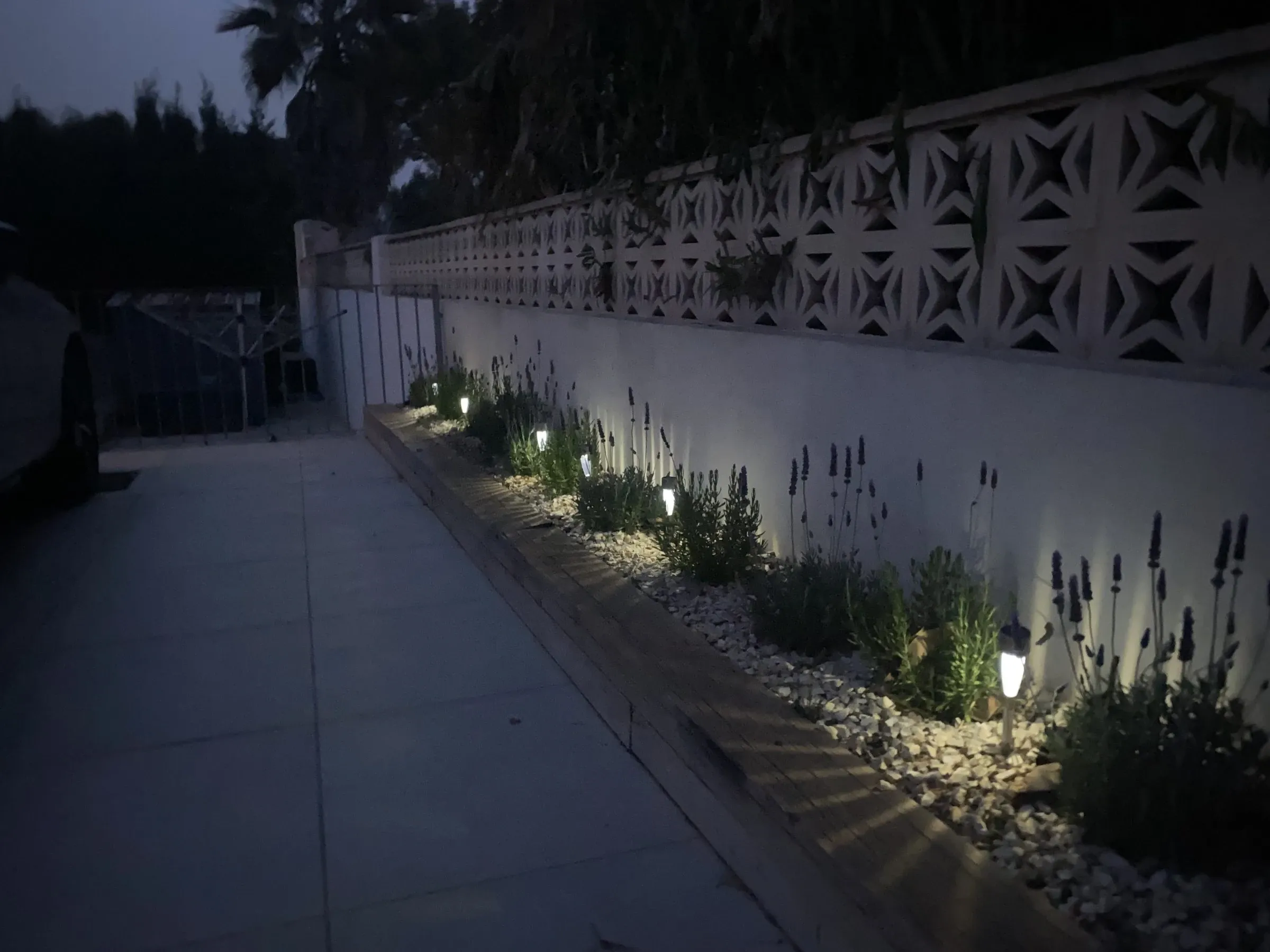 The side path lit at night